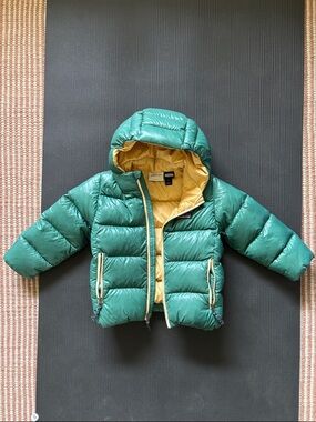 Patagonia hi loft down hoody